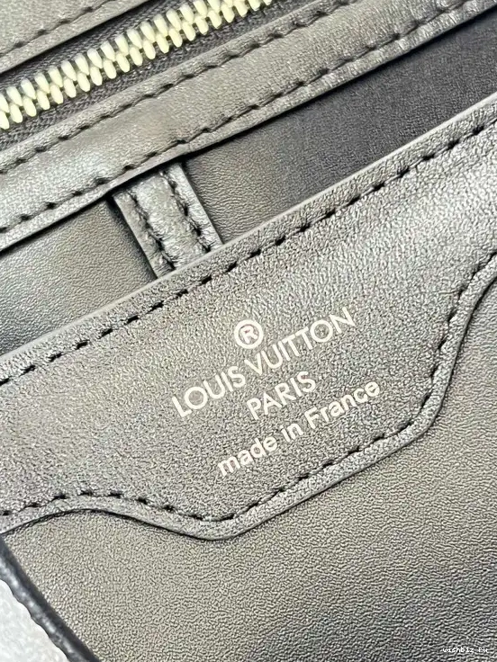 WIS BB VUITTON LOUIS CAPUCINES 0531